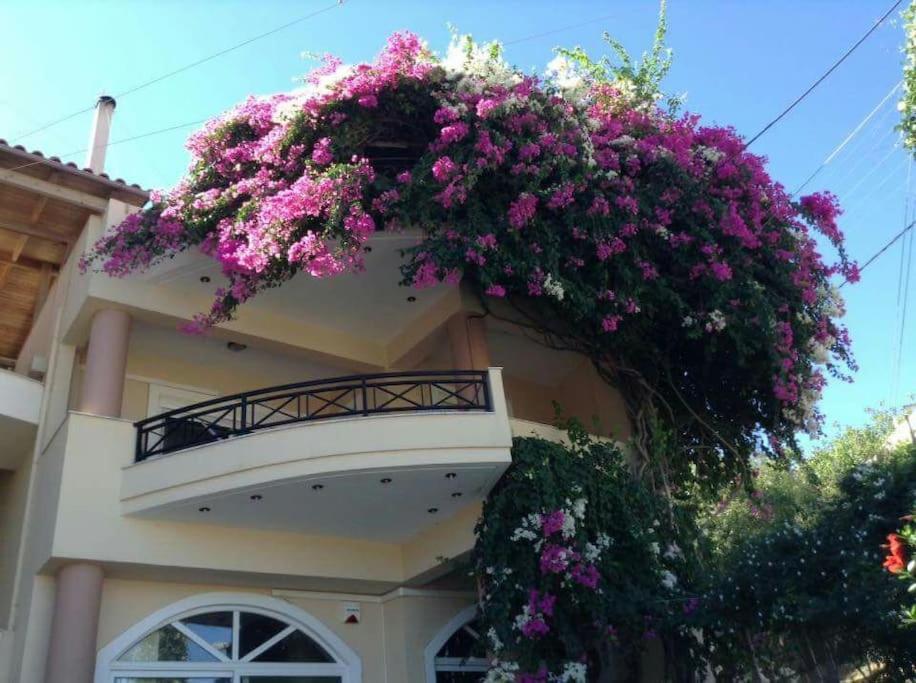 Lenico Beachfront Suites Agia Pelagia Zewnętrze zdjęcie