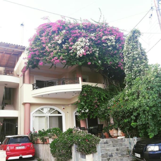 Lenico Beachfront Suites Agia Pelagia Zewnętrze zdjęcie