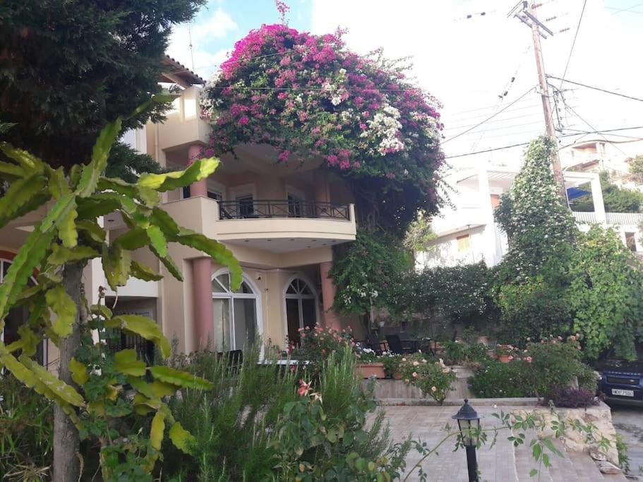 Lenico Beachfront Suites Agia Pelagia Zewnętrze zdjęcie